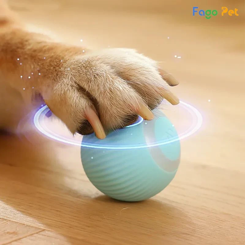 bóng đồ chơi cho mèo