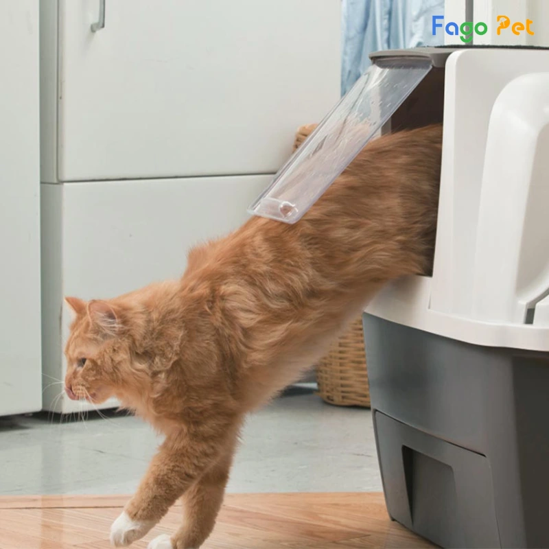 nhà vệ sinh tự động cho mèo
