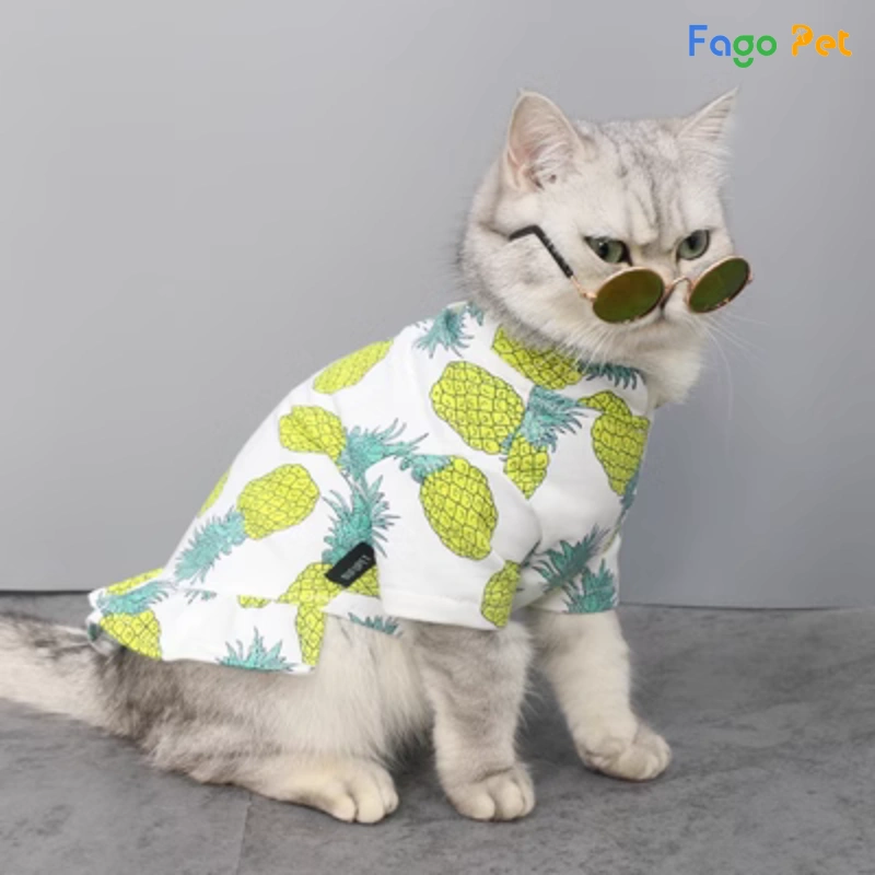 áo cho mèo mùa hè