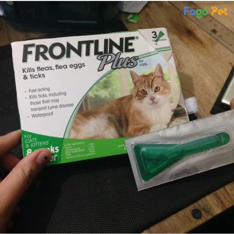 nhỏ gáy Frontline cho mèo