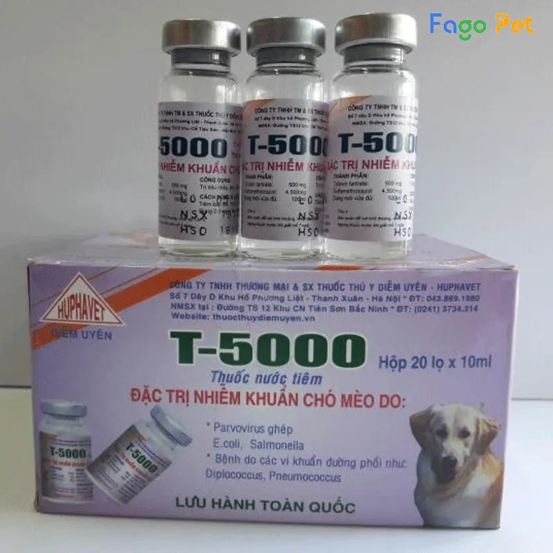 Thuốc trị tiêu chảy cho mèo con T5000