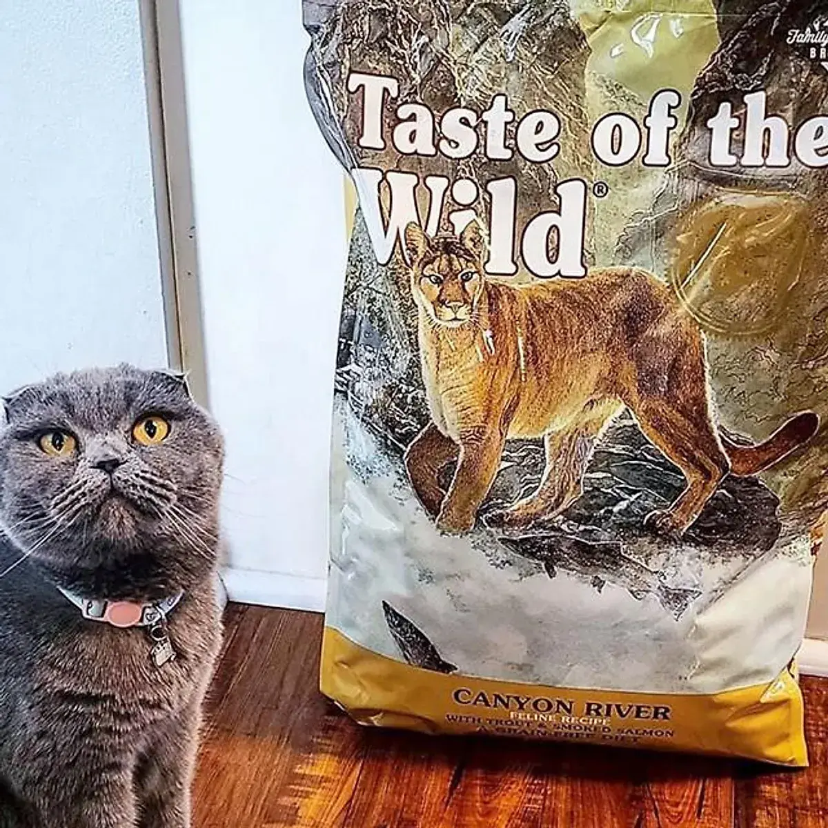 Thức Ăn Taste Of The Wild Mèo