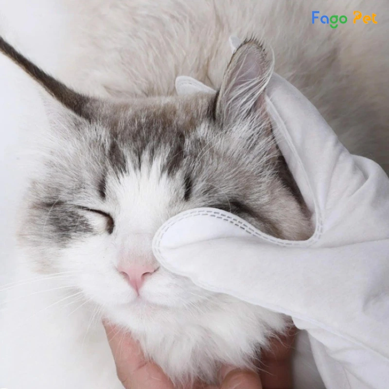 Hướng Dẫn Cách Vệ Sinh Cho Mèo Để Mèo Luôn Sạch Sẽ Thơm Tho