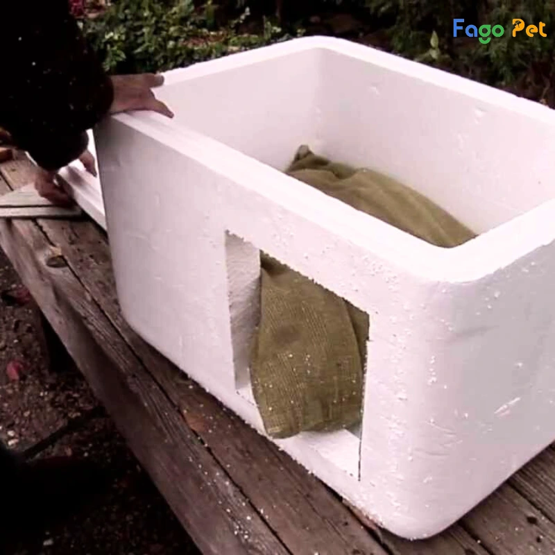 làm nhà vệ sinh cho mèo bằng thùng xốp