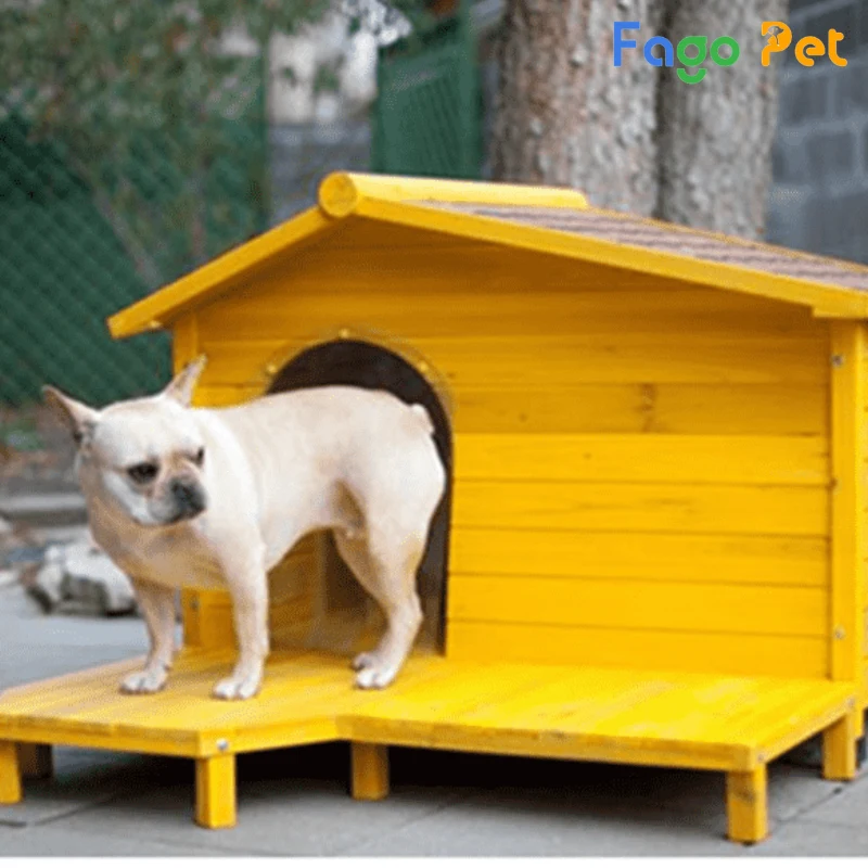 Nhà bằng gỗ cho chó màu vàng nổi bật