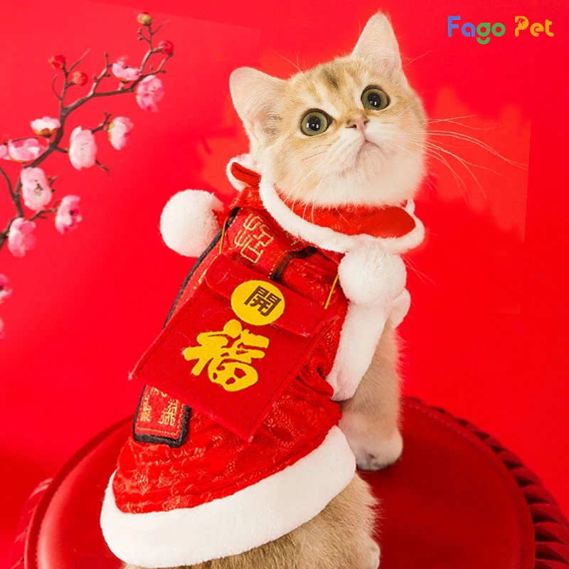 Mèo Mặc Váy Đỏ Với Kẹo Mút Hình ảnh Sẵn có - Tải xuống Hình ảnh Ngay bây  giờ - Băng đô, Cảm xúc tích cực, Cảnh cận - iStock