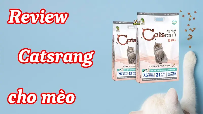 Review hạt Catsrang