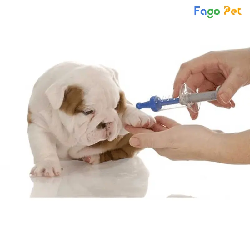 Thuốc trị bệnh đường ruột cho chó Gentalin-10 Injection hiệu quả cao