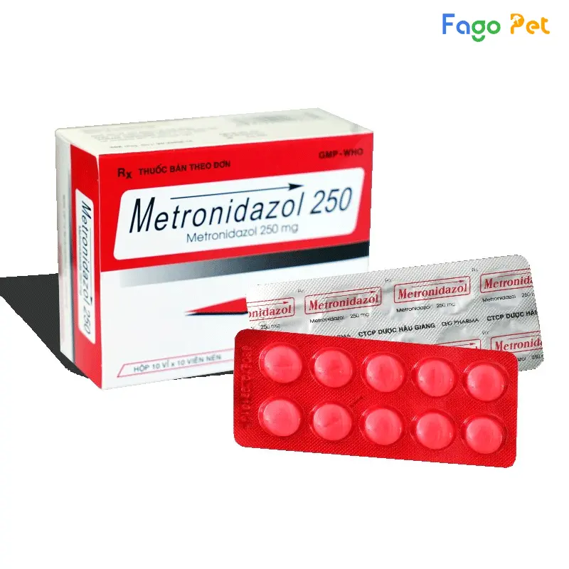 Thuốc trị tiêu chảy cho mèo Metronidazol