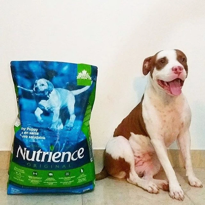 hạt nutrience cho chó