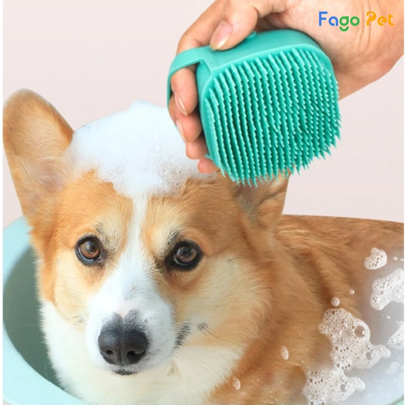 bàn chải tắm massage cho chó