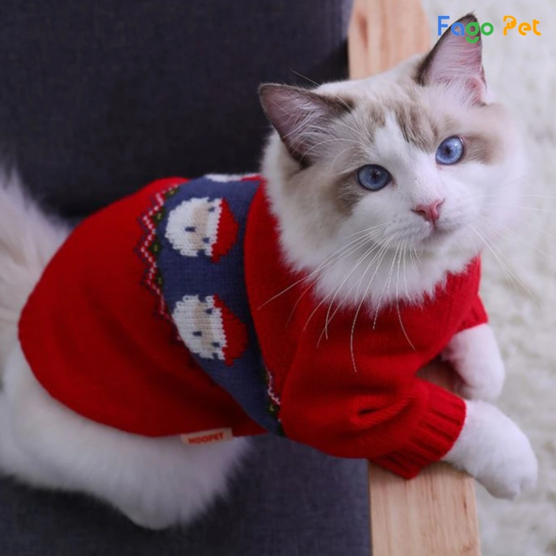 áo len cho mèo
