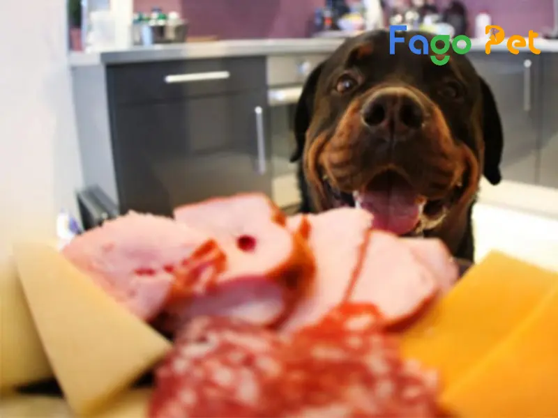 #9 Thức Ăn Cho Chó Rottweiler Giúp Bé Phát Triển Khỏe Mạnh, Ít Bệnh