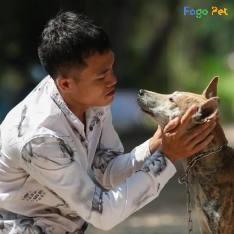 huấn luyện chó Phú Quốc đi vệ sinh