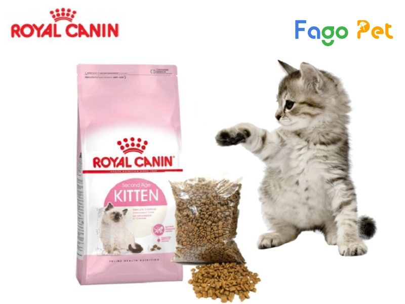 Review Hạt Royal Canin Kitten Có Tốt Không?