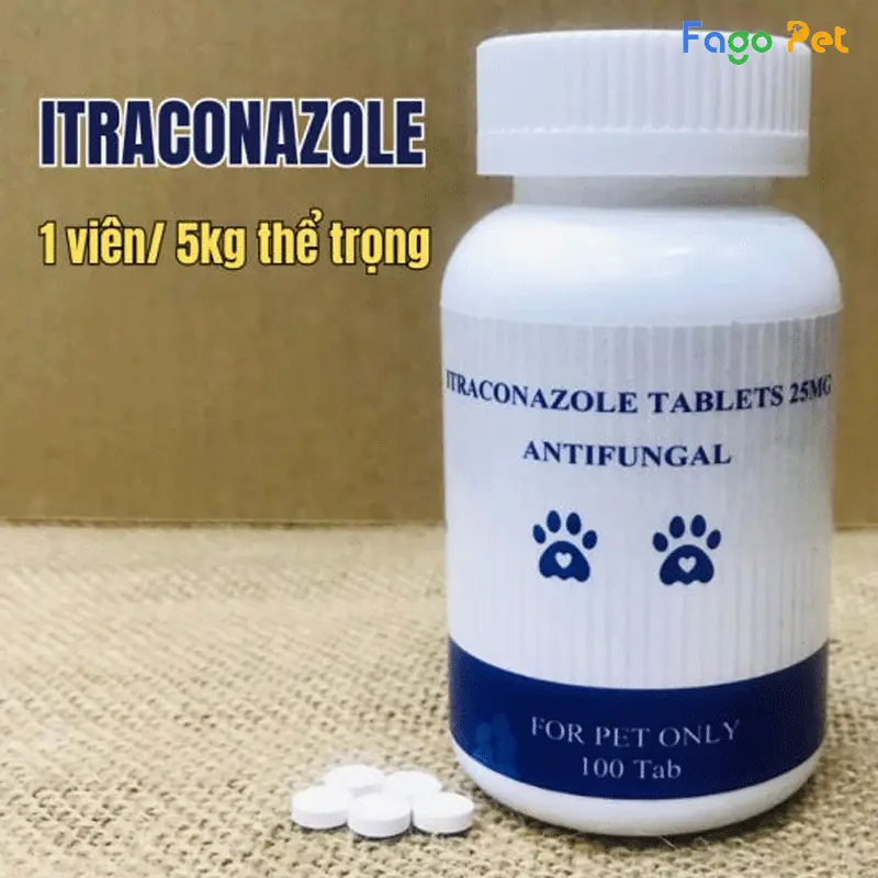 Thuốc trị nấm chó Itraconazole