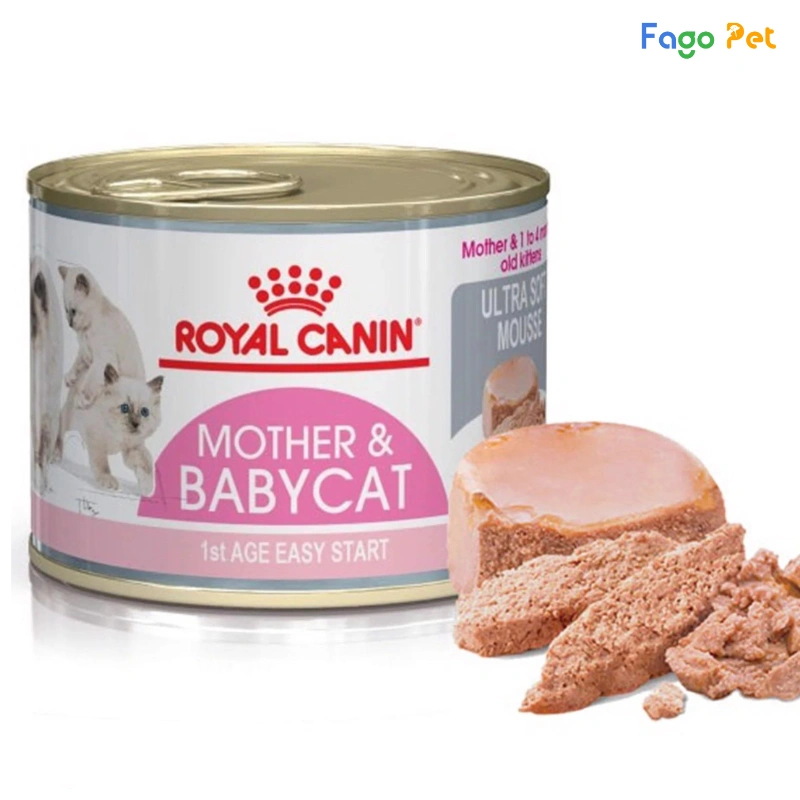 Pate Royal Canin Mother & Baby Cat