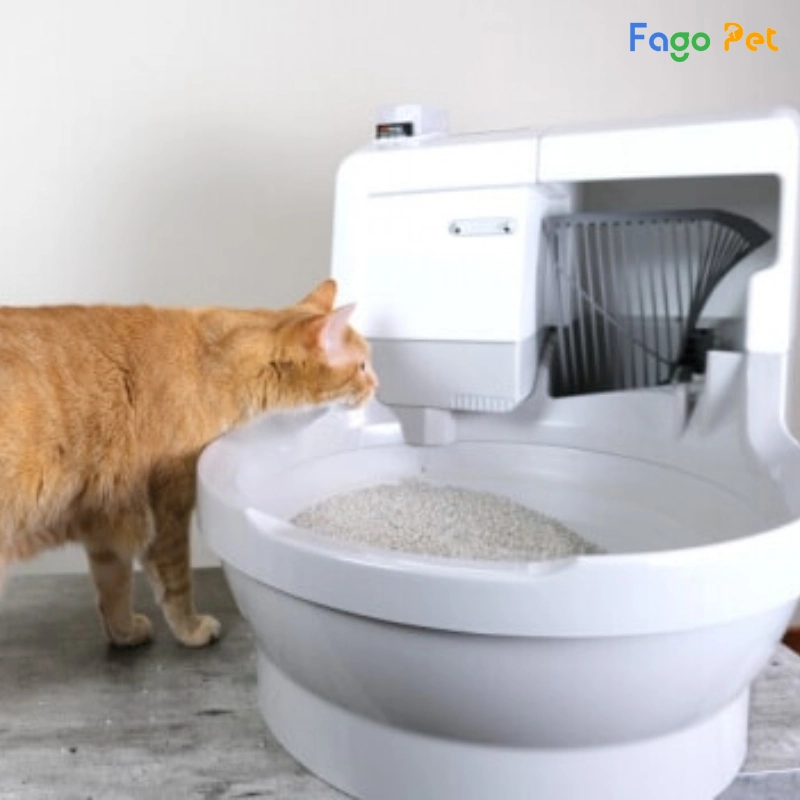 nhà vệ sinh cho mèo