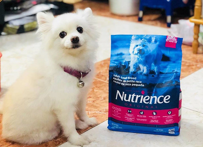 thức ăn cho chó nutrience