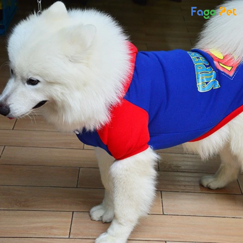 áo siêu nhân cho chó