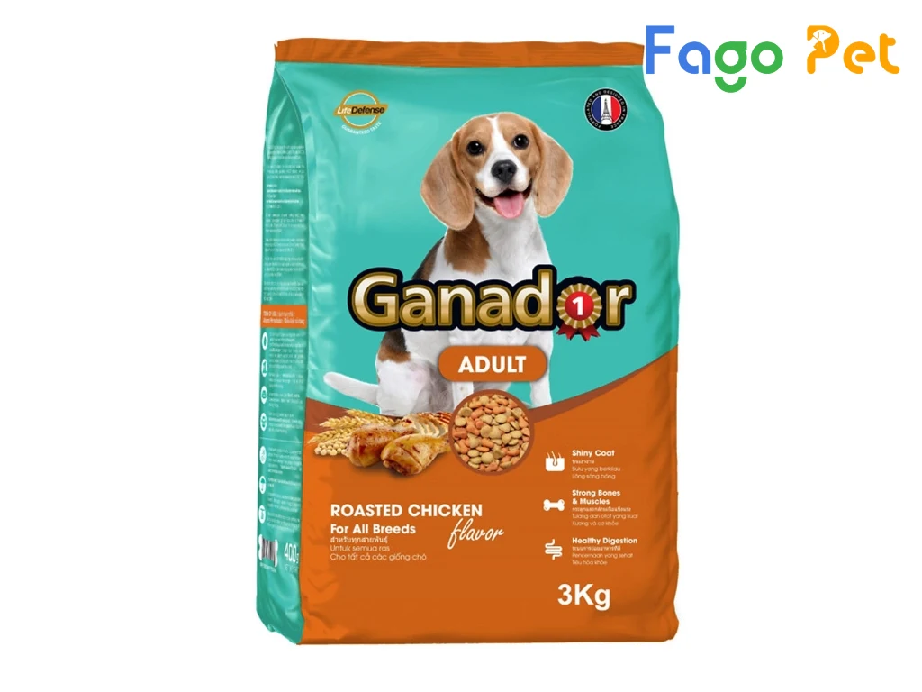 Thức ăn cho chó Ganador vị gà quay 3kg (gói)
