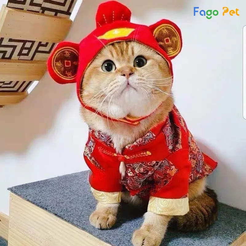 áo tết cho mèo