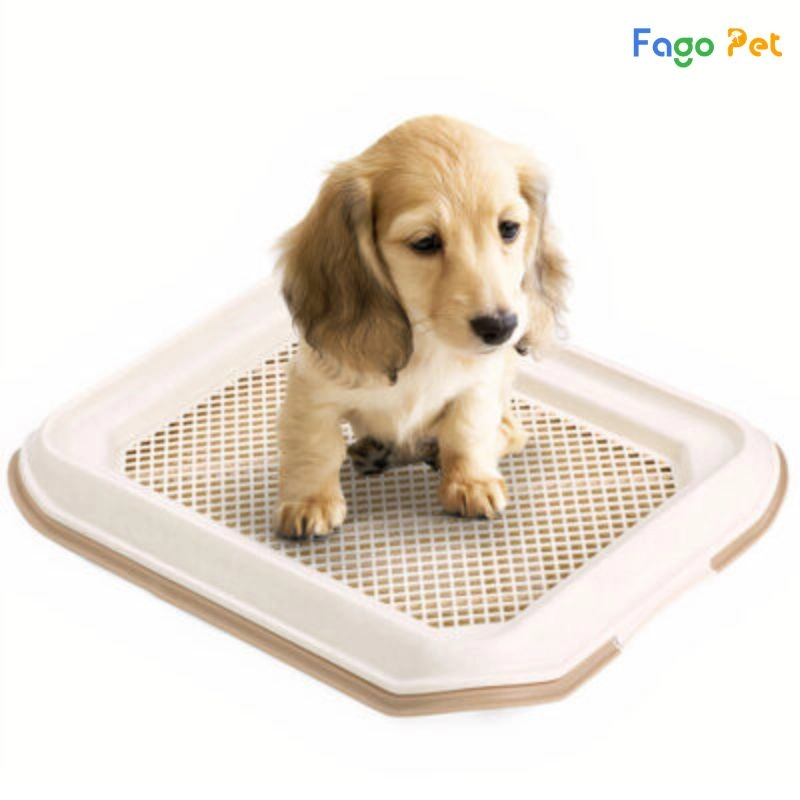 Khay vệ sinh cho chó MAKAR Dog Toilet Trays Small