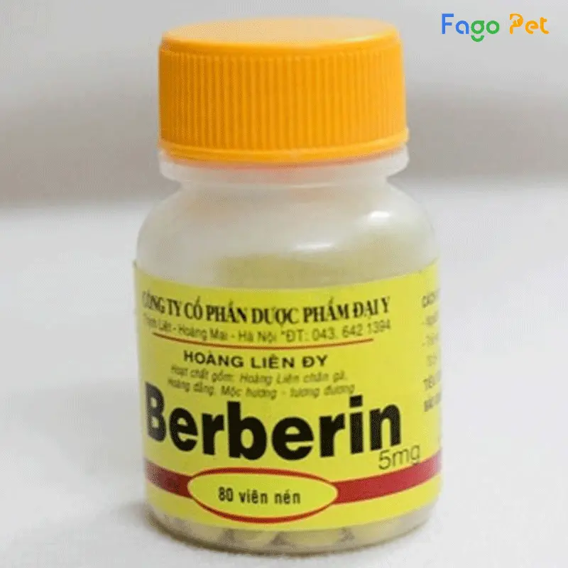 Thuốc trị tiêu chảy cho mèo Berberin