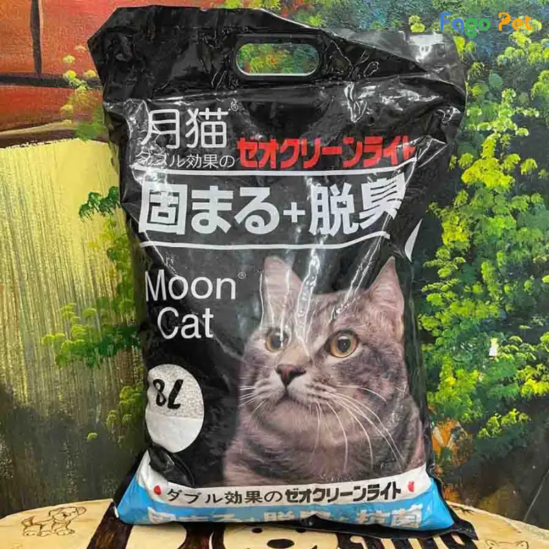 cát mèo moon cat