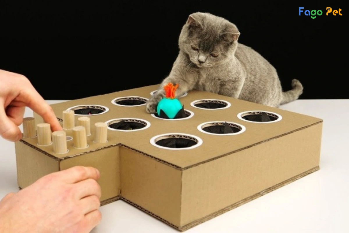 Hướng Dẫn Làm Đồ Chơi Cho Mèo Bằng Thùng Carton