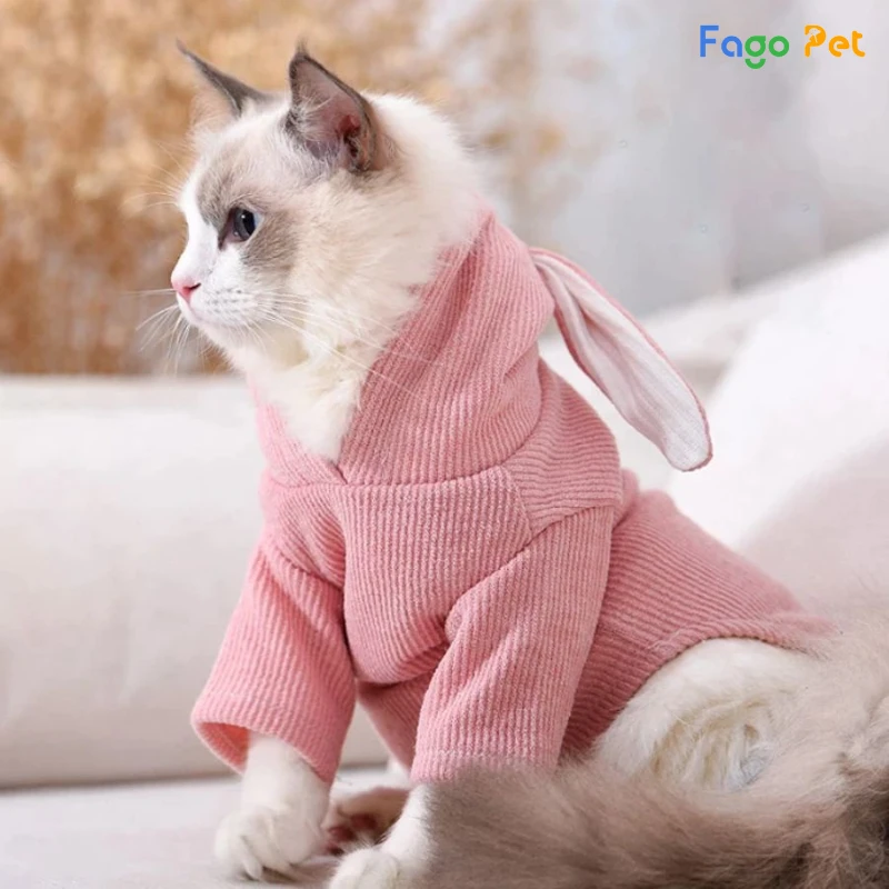 áo cho mèo mùa đông