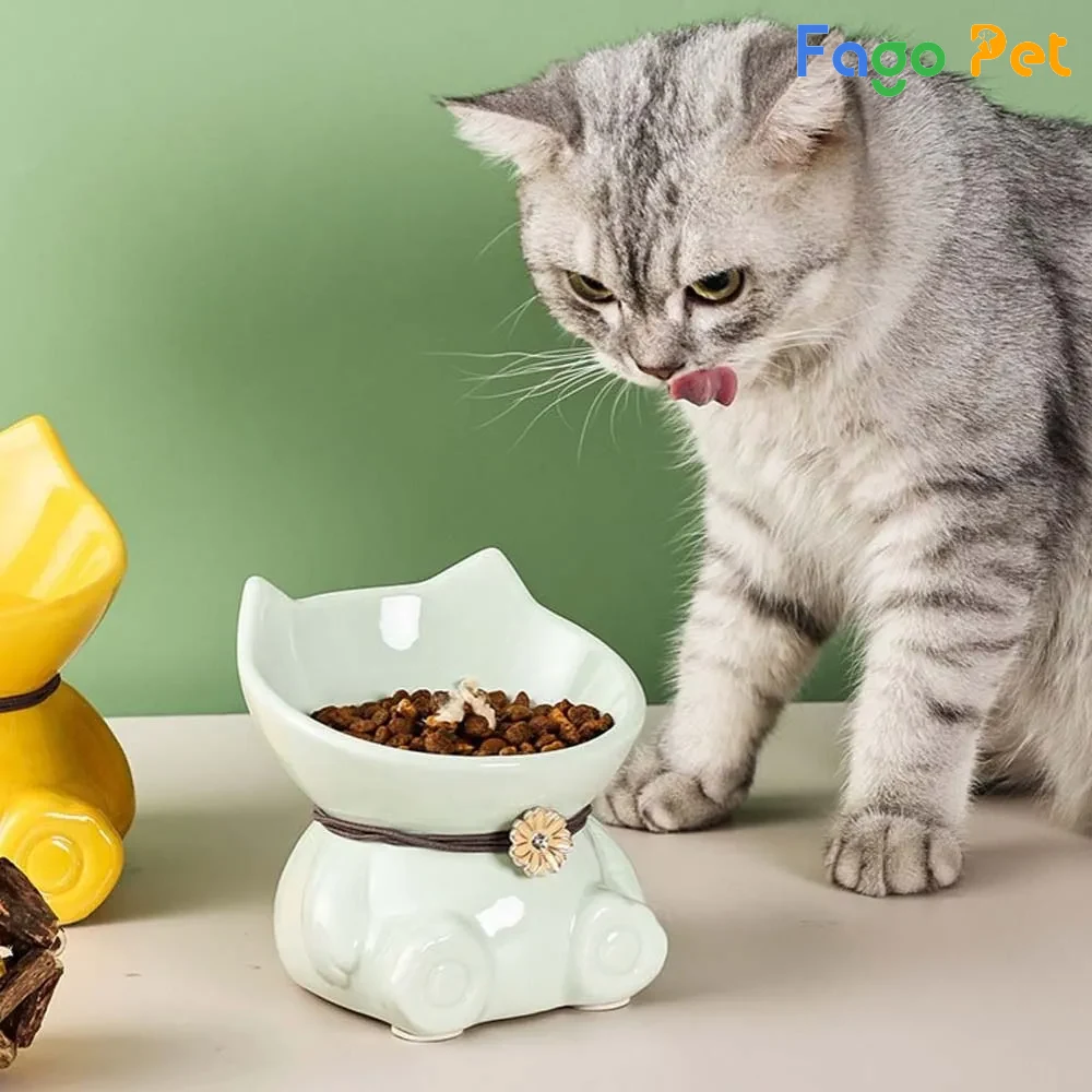 dụng cụ ăn uống cho mèo