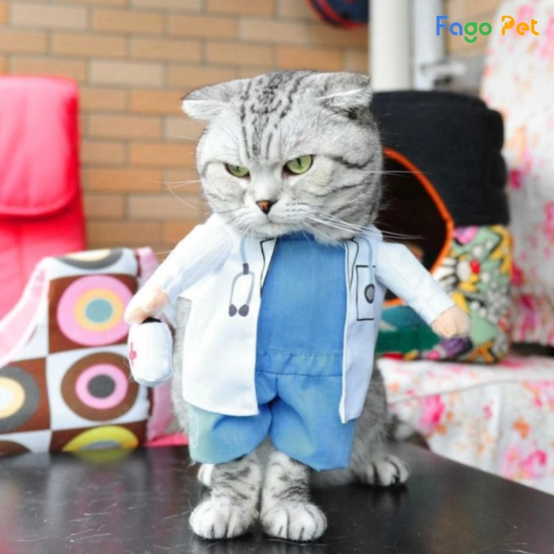 quần áo cosplay cho mèo