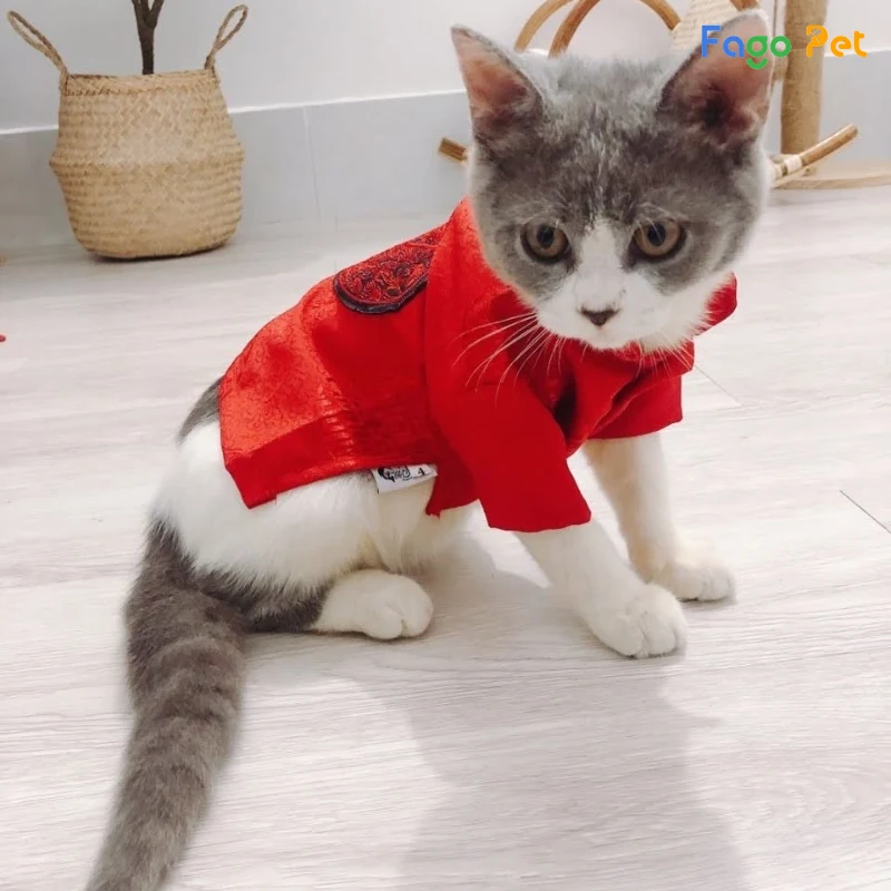 áo tết cho mèo