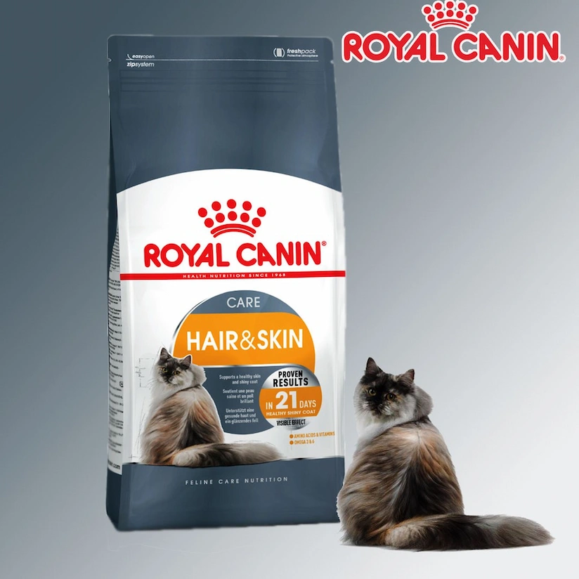 royal canin cho mèo