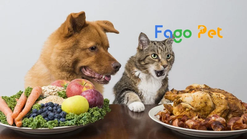 Có thể cho chó ăn thức ăn cho mèo không?