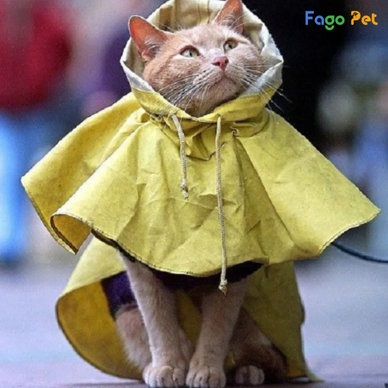 áo mưa cho mèo