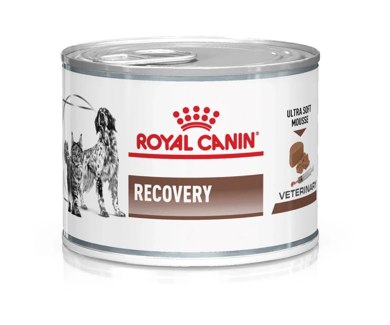 Thức ăn cho chó Royal Canin Recovery 195g