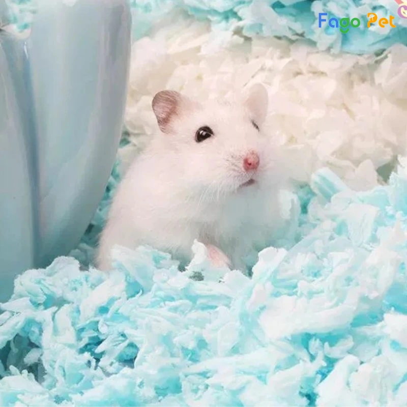 giấy lót chuồng hamster