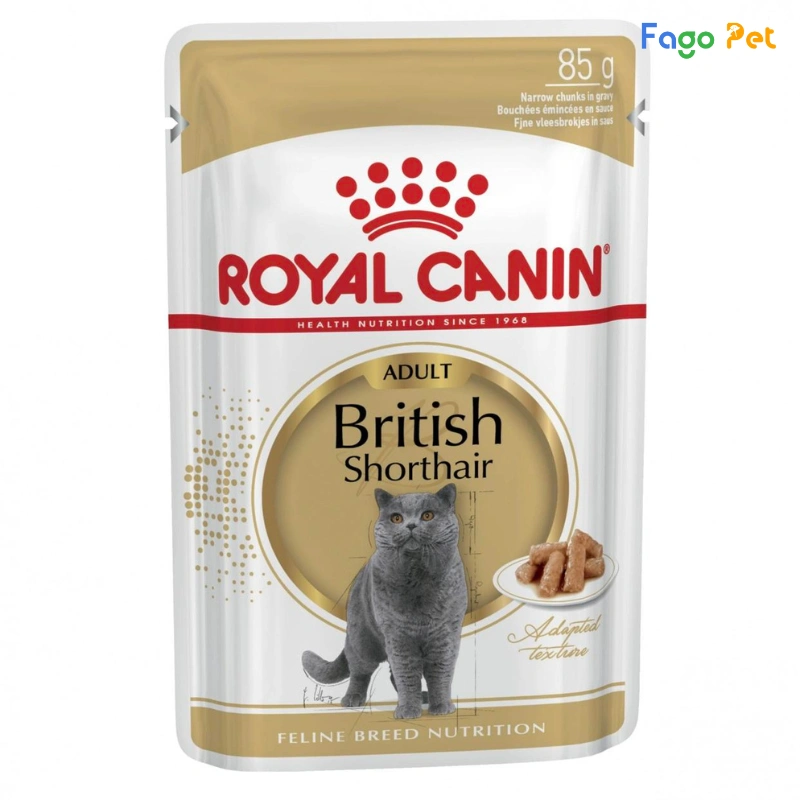 Pate Royal Canin British Shorthair