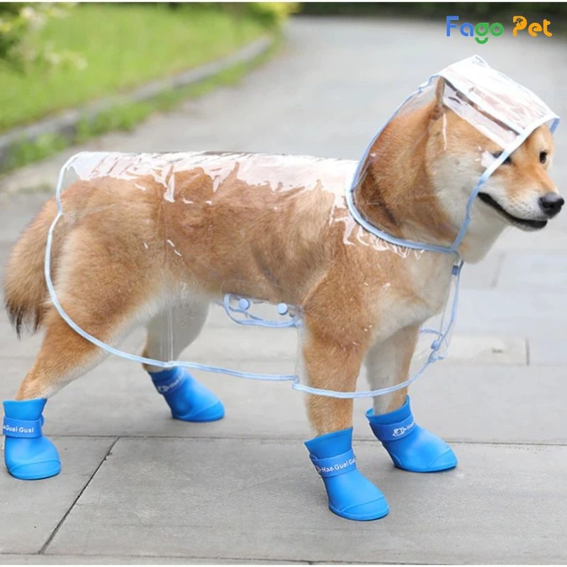 giày đi mưa cho chó mèo