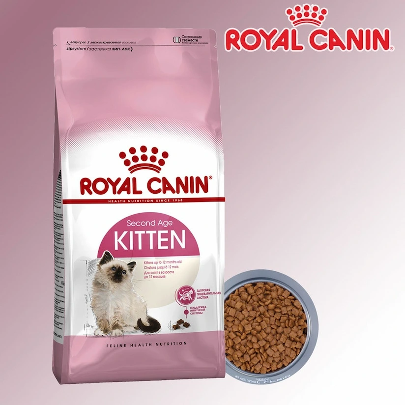 Hạt Royal Canin Kitten 36 Cho Mèo Con
