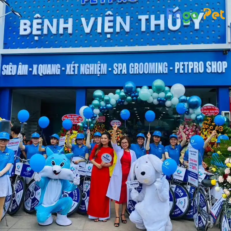 Bệnh viện thú y PetPro