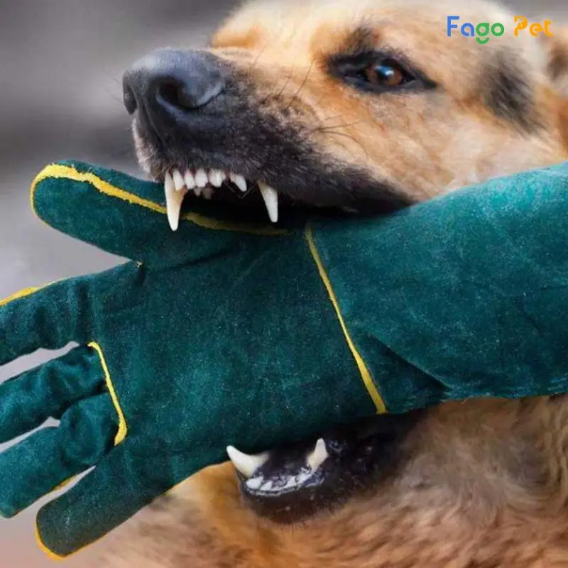 găng tay huấn luyện chó