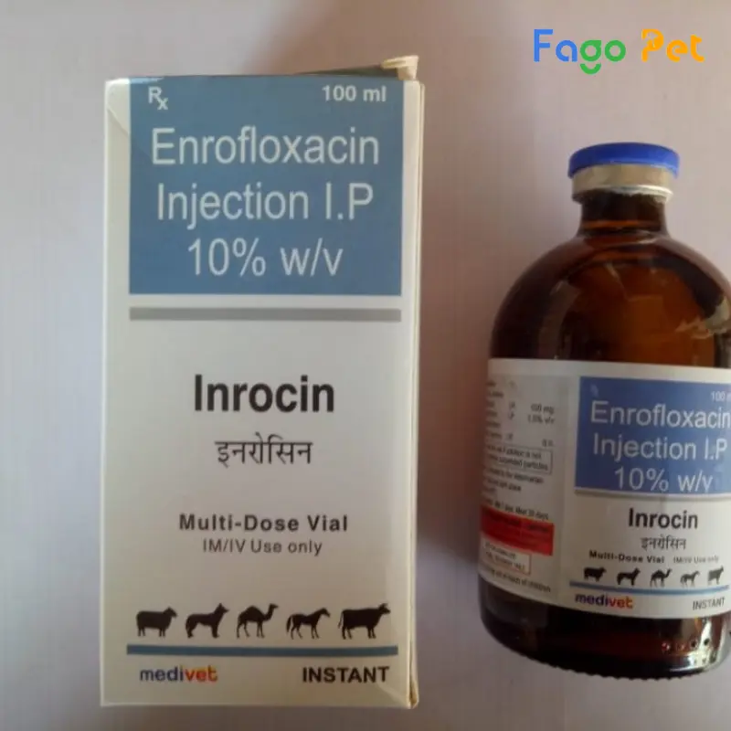 Thuốc đặc trị tiêu chảy cho thỏ Enrofloxacin injection