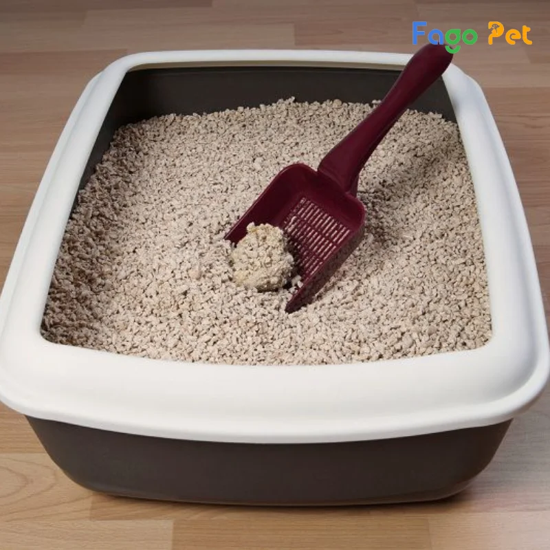 làm cát cho mèo