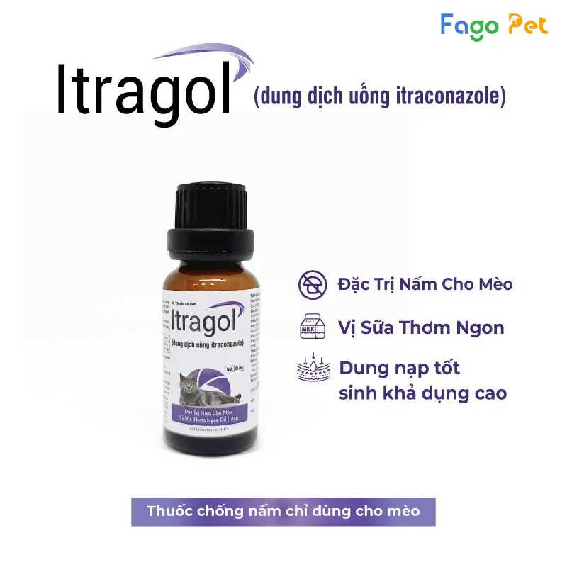 Thuốc uống trị nấm cho mèo Itragol