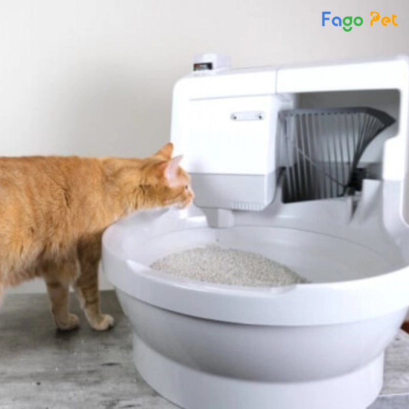 nhà vệ sinh tự động cho mèo