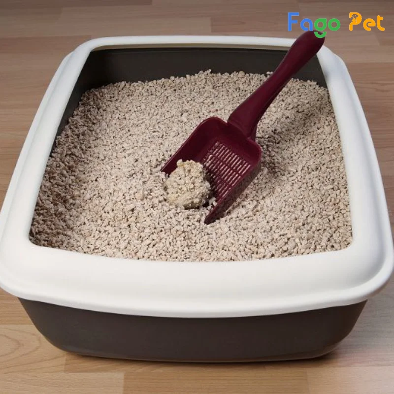 có nên dùng cát vệ sinh cho chó