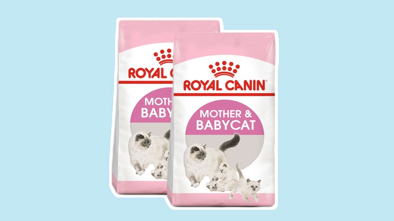 hạt royal canin mother